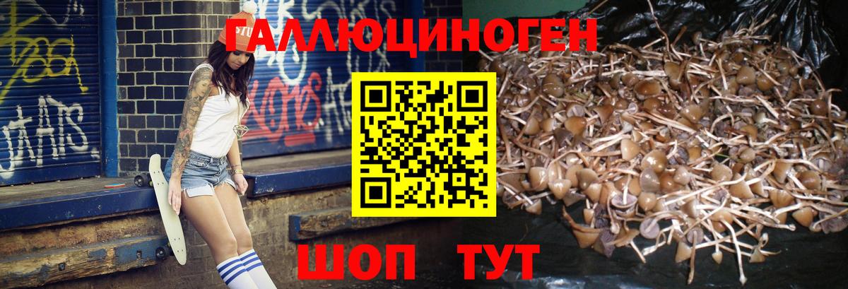 Галлюциногенные грибы мицелий  Вход с VPN  Сорочинск 